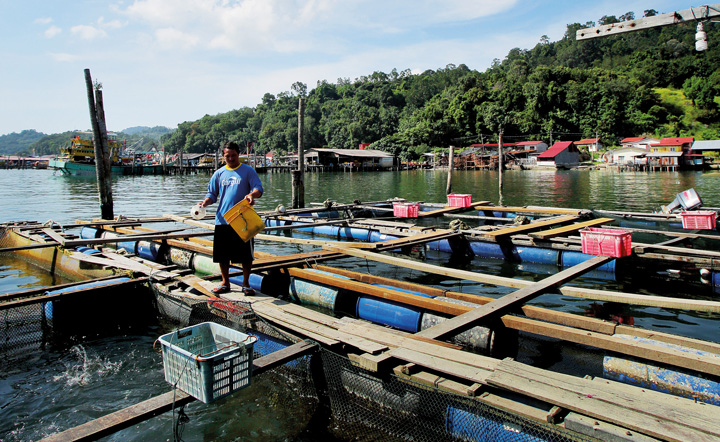 Pangkor Island Excursion